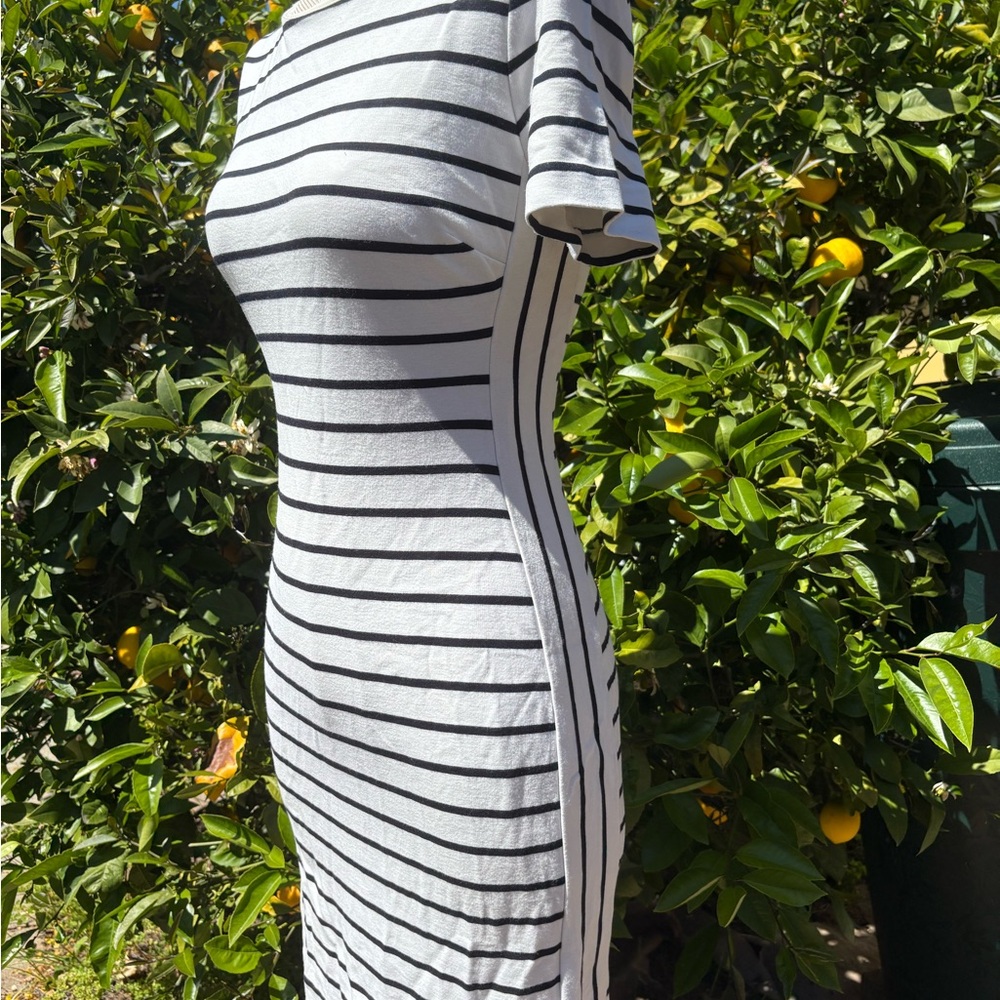 Banana Republic Black and White Bodycon Midi Dress